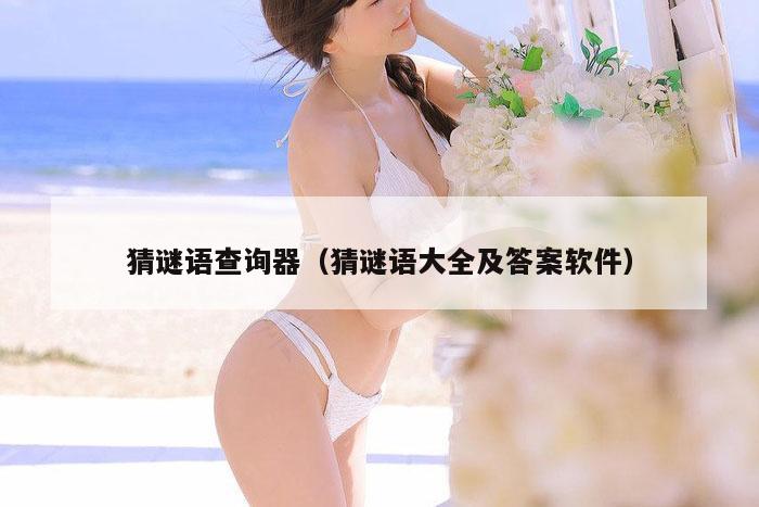 猜谜语查询器（猜谜语大全及答案软件）