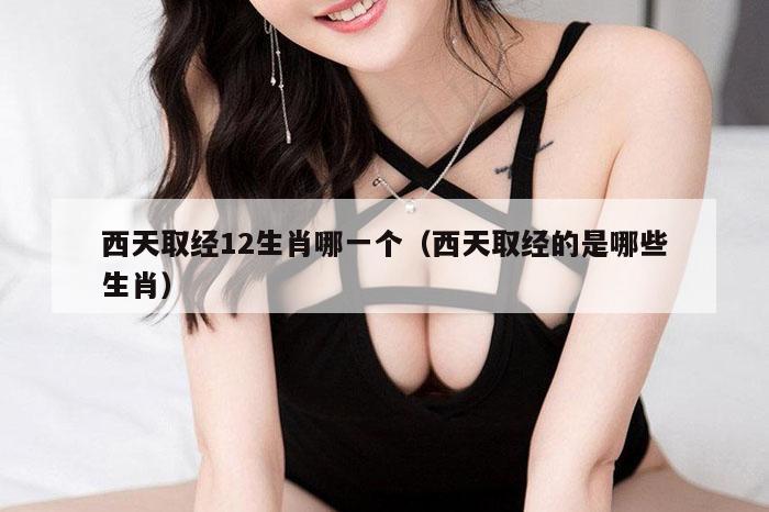 西天取经12生肖哪一个（西天取经的是哪些生肖）