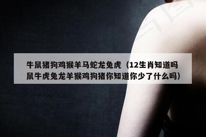 牛鼠猪狗鸡猴羊马蛇龙兔虎（12生肖知道吗鼠牛虎兔龙羊猴鸡狗猪你知道你少了什么吗）