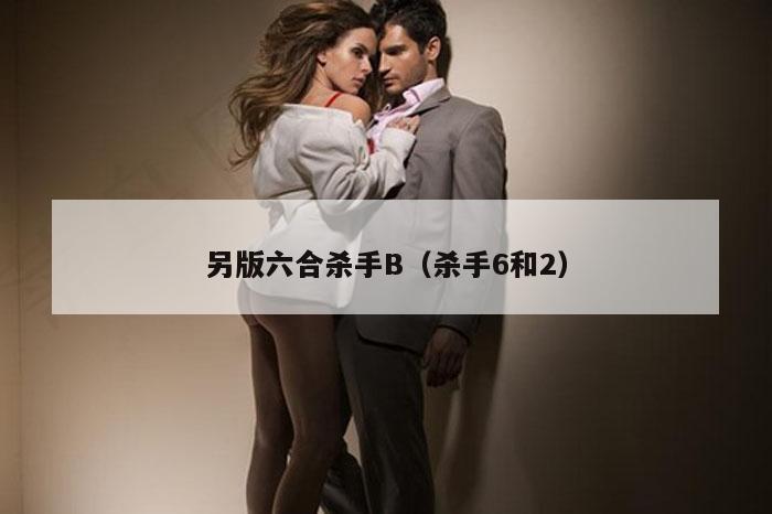 另版六合杀手B（杀手6和2）